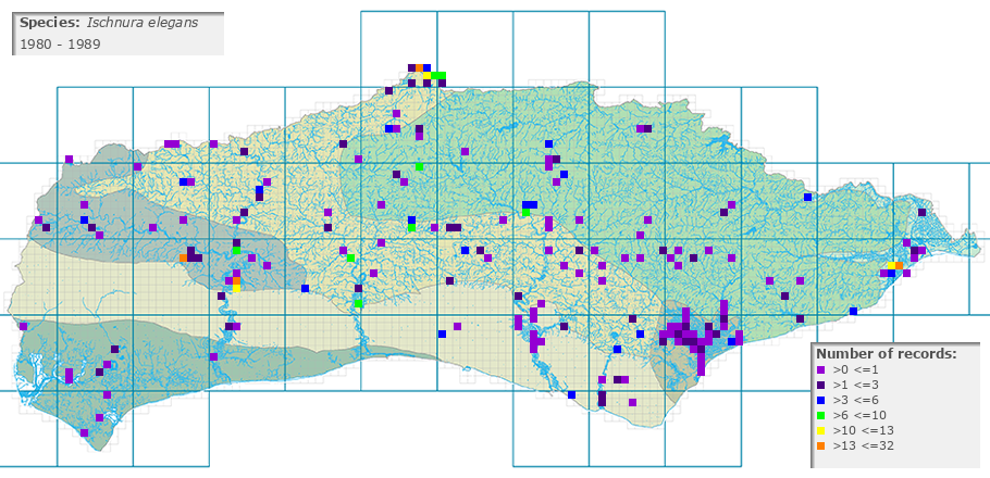 Ischnura elegans distribution 1980 - 1989