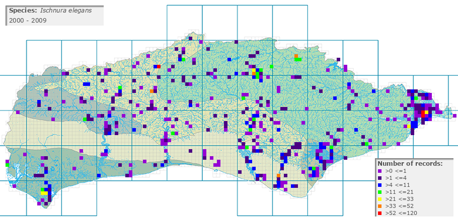 Ischnura elegans distribution 2000 - 2009