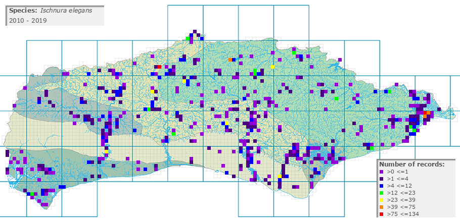 Ischnura elegans distribution 2010 - 2019