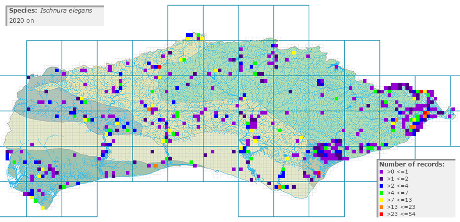 Ischnura elegans distribution 2010 on