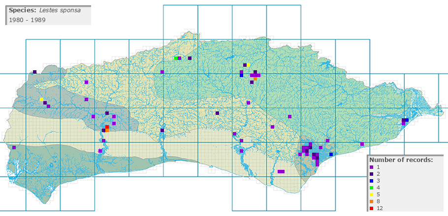 Lestes sponsa distribution 1980 - 1989