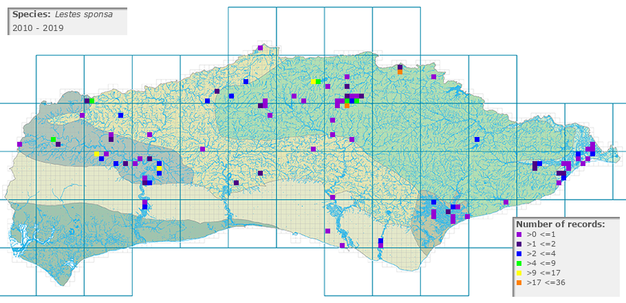 Lestes sponsa distribution 2010 - 2019