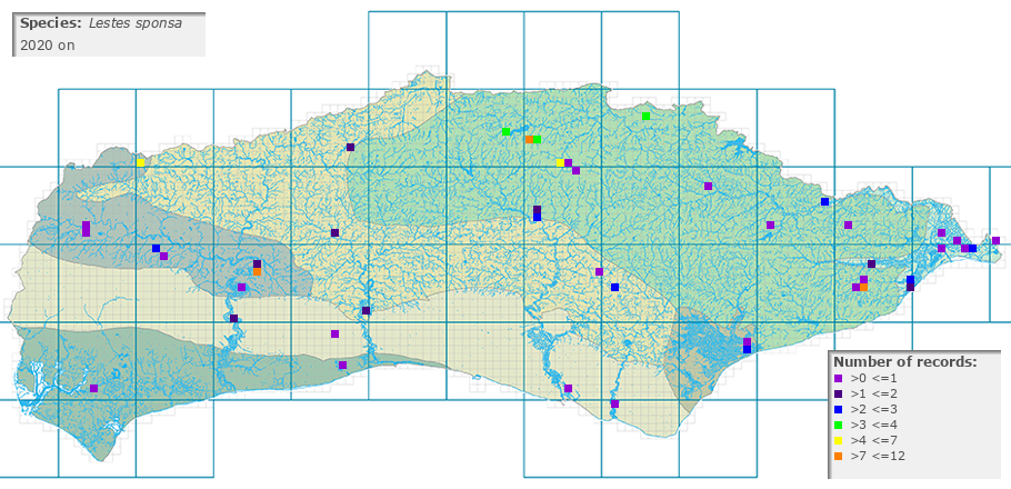 Lestes sponsa distribution 2010 on