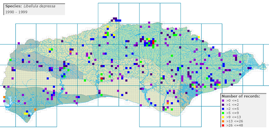 Libellula depressa distribution 1990 - 1999