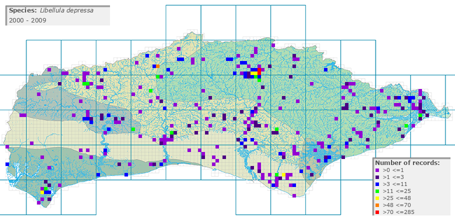 Libellula depressa distribution 2000 - 2009