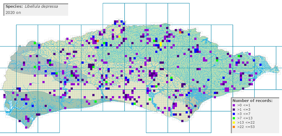 Libellula depressa distribution 2010 on