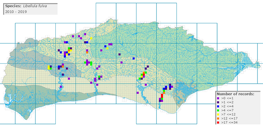 Libellula fulva distribution 2010 - 2019