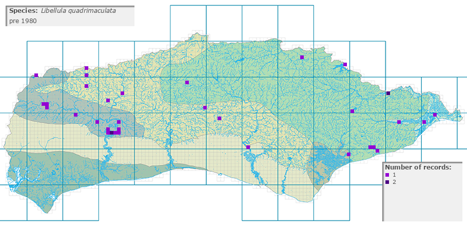 Libellula quadrimaculata distribution pre 1980