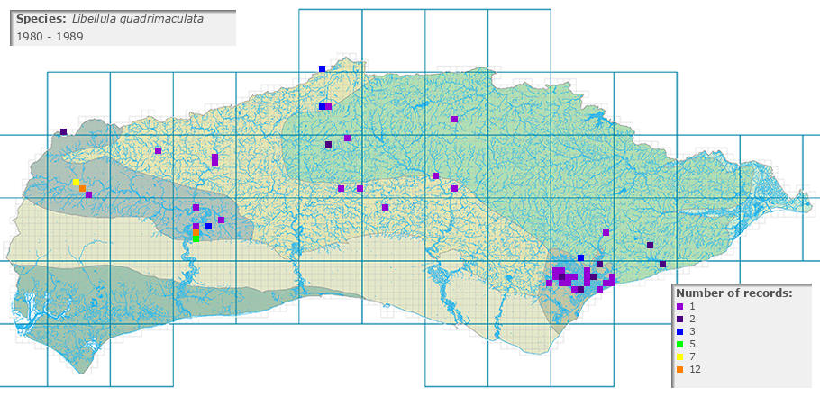 Libellula quadrimaculata distribution 1980 - 1989