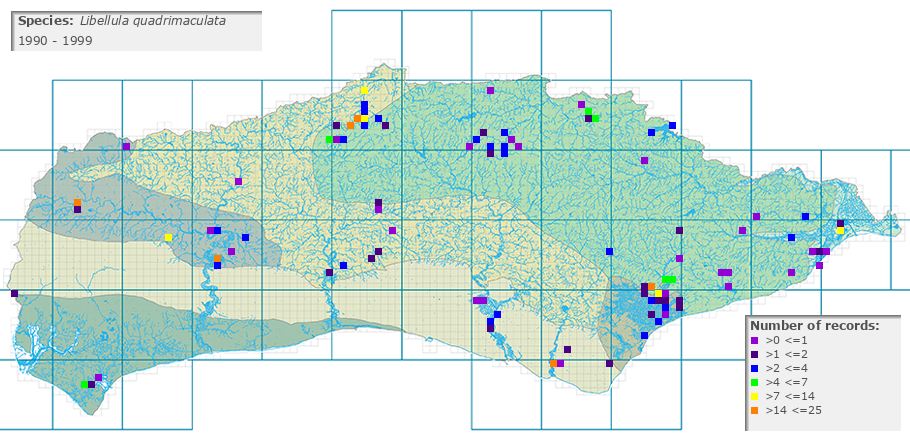 Libellula quadrimaculata distribution 1990 - 1999