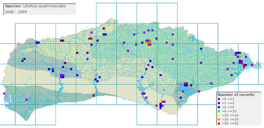 Libellula quadrimaculata distribution 2000 - 2009