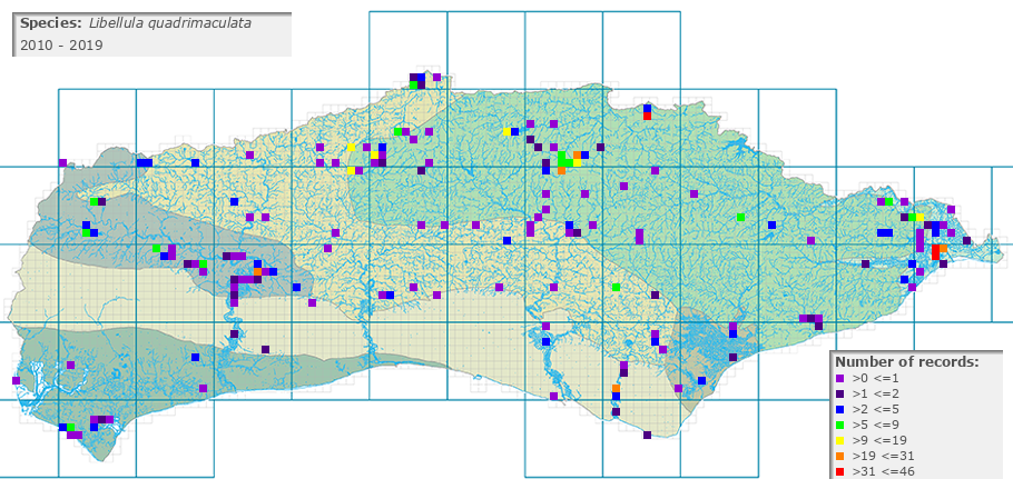 Libellula quadrimaculata distribution 2010 - 2019