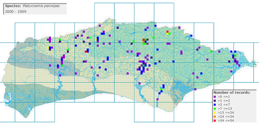Platycnemis pennipes distribution 2000 - 2009