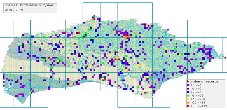 Pyrrhosoma nymphula distribution 2010 - 2019