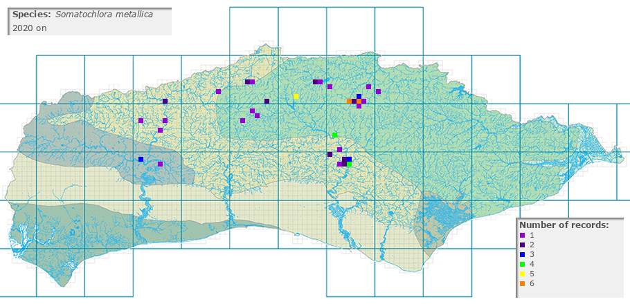 Somatochlora metallica distribution 2010 on