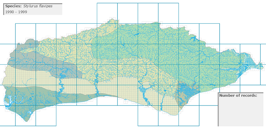 Stylurus flavipes distribution 1990 - 1999