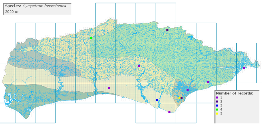 Sympetrum fonscolombii distribution 2010 on