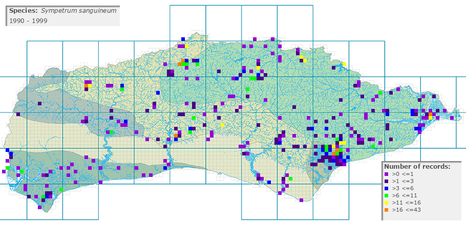 Sympetrum sanguineum distribution 1990 - 1999