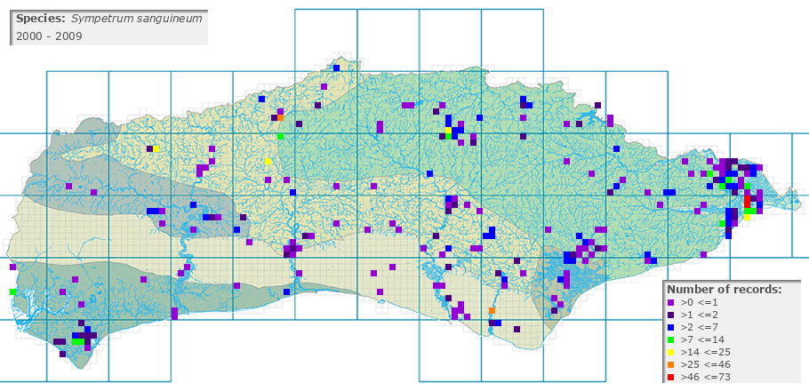 Sympetrum sanguineum distribution 2000 - 2009