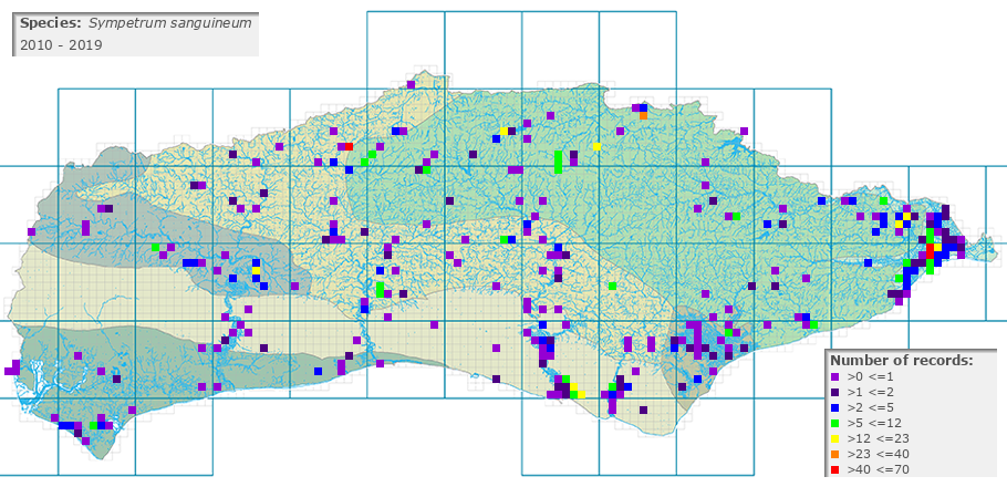 Sympetrum sanguineum distribution 2010 - 2019