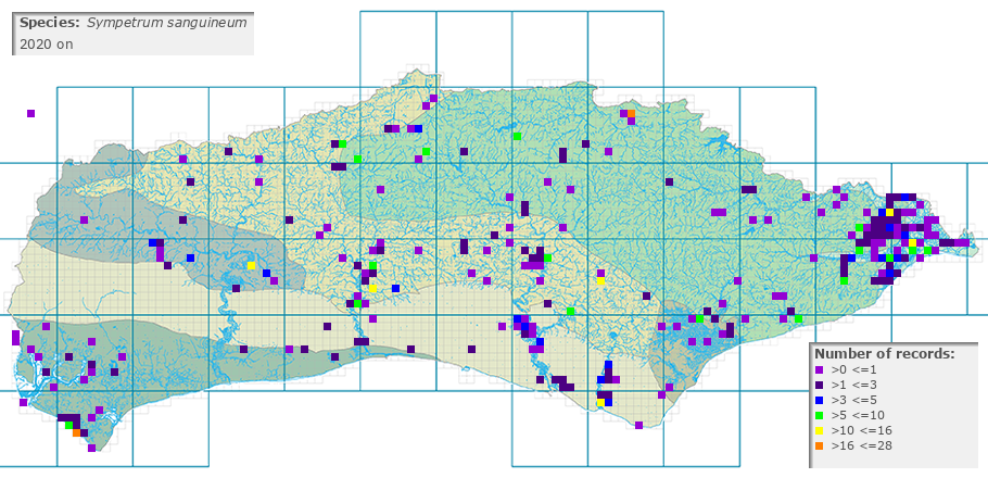 Sympetrum sanguineum distribution 2010 on