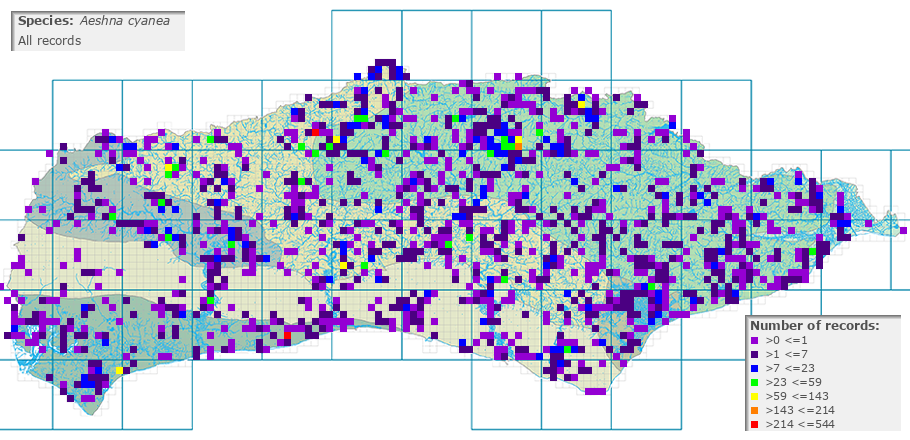 Aeshna cyanea distribution (all)
