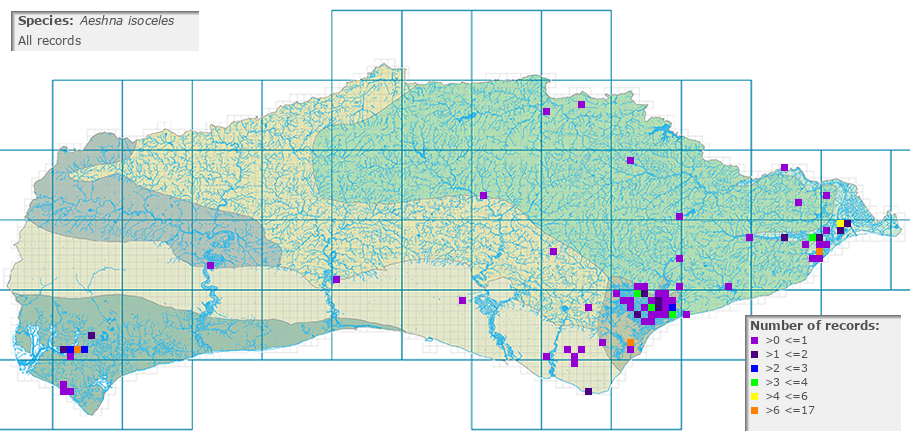 Aeshna isoceles distribution (all)