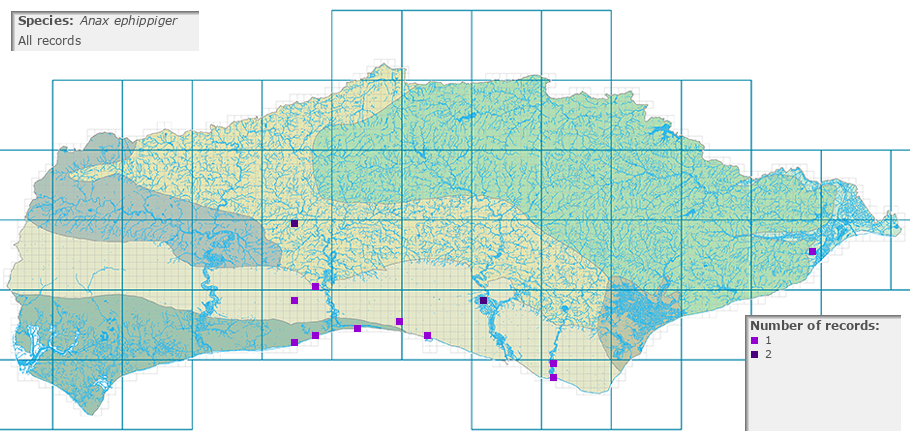 Anax ephippiger distribution (all)