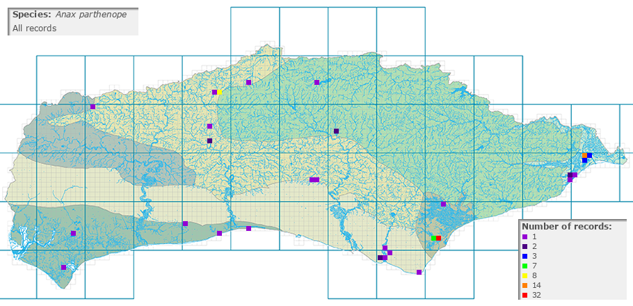 Anax parthenope distribution (all)