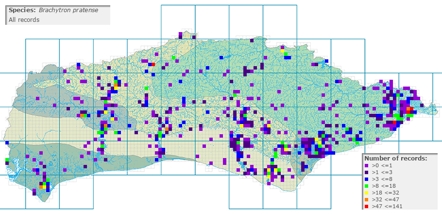 Brachytron pratense distribution (all)