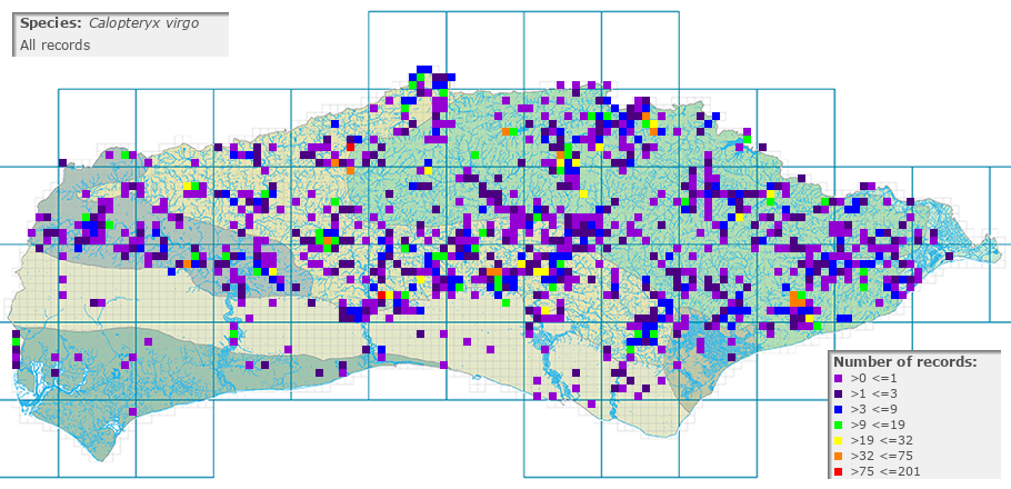 Calopteryx virgo distribution (all)