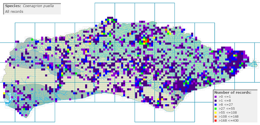 Coenagrion puella distribution (all)