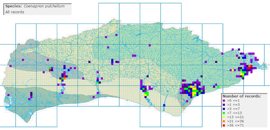 Coenagrion pulchellum distribution (all)