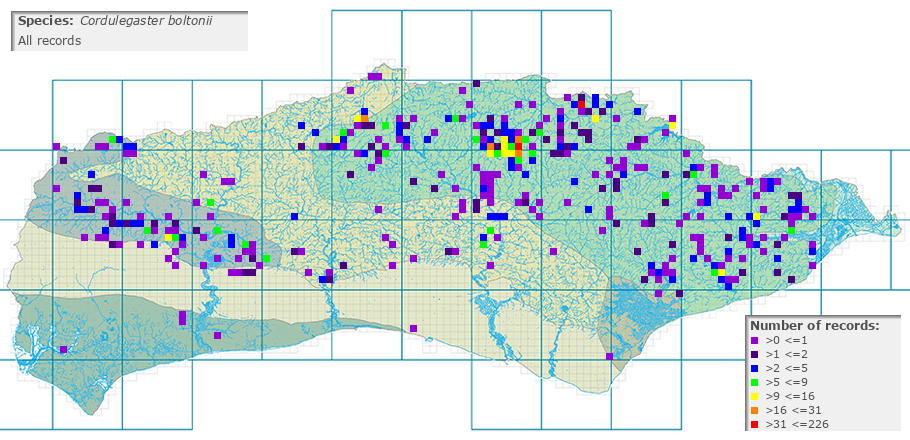 Cordulegaster boltonii distribution (all)