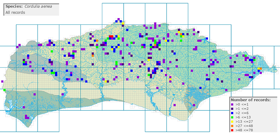 Cordulia aenea distribution (all)