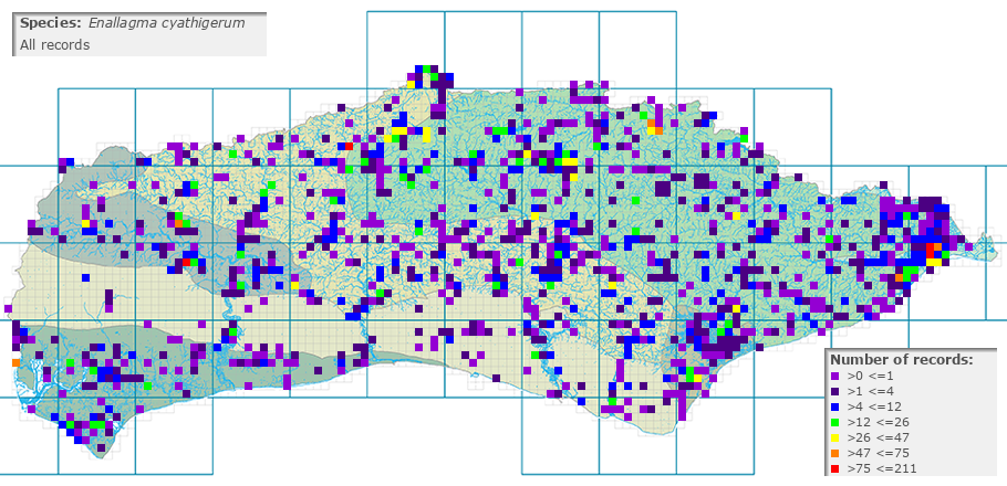 Enallagma cyathigerum distribution (all)