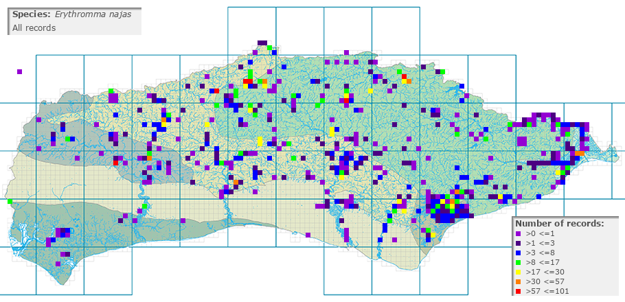Erythromma najas distribution (all)