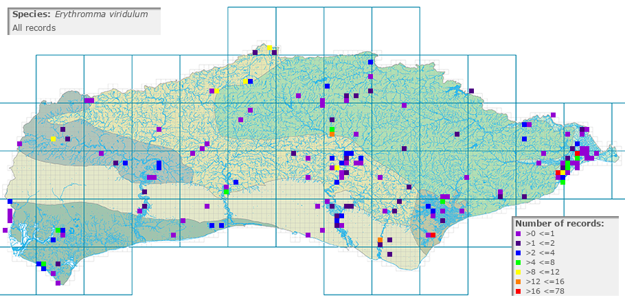 Erythromma viridulum distribution (all)