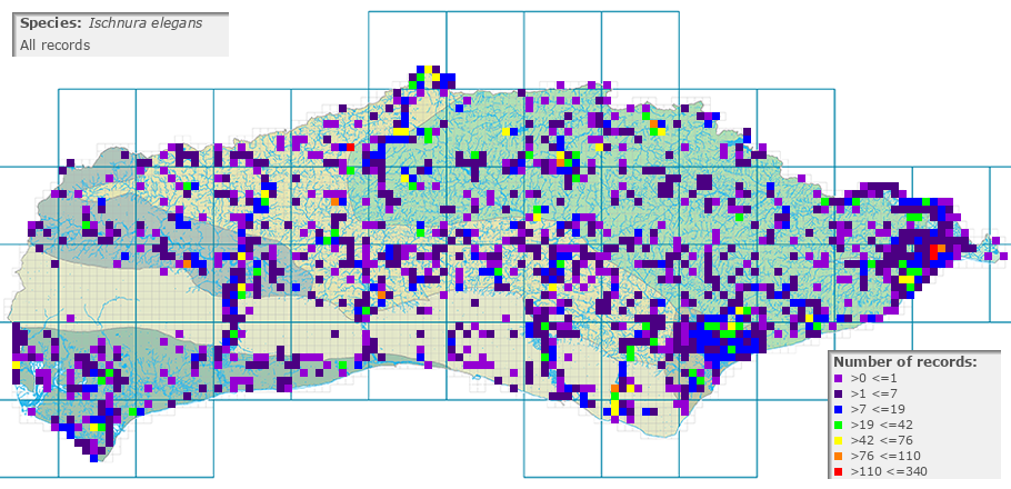 Ischnura elegans distribution (all)