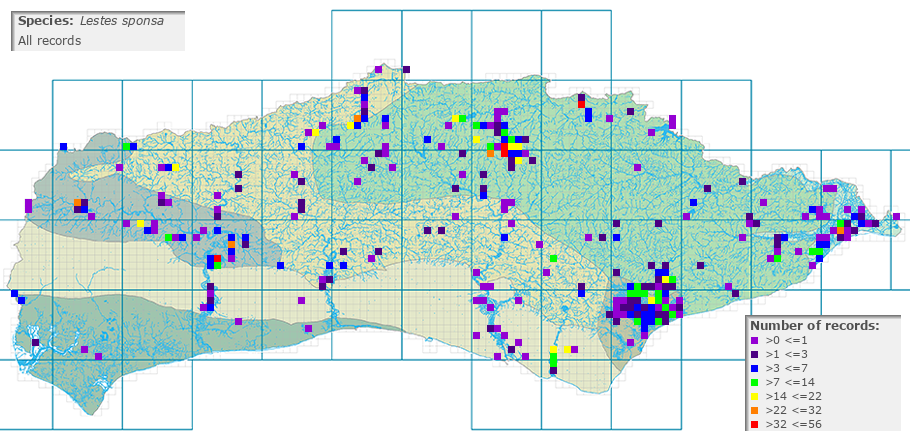 Lestes sponsa distribution (all)