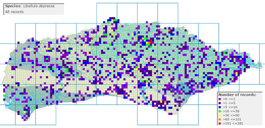 Libellula depressa distribution (all)