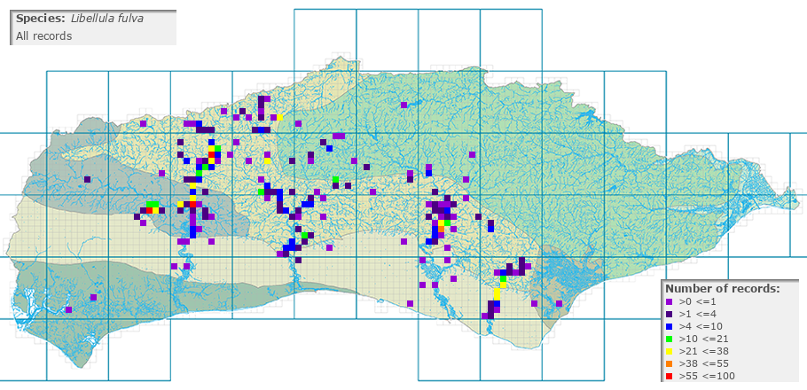 Libellula fulva distribution (all)