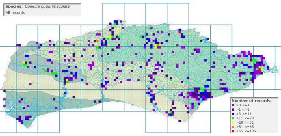 Libellula quadrimaculata distribution (all)