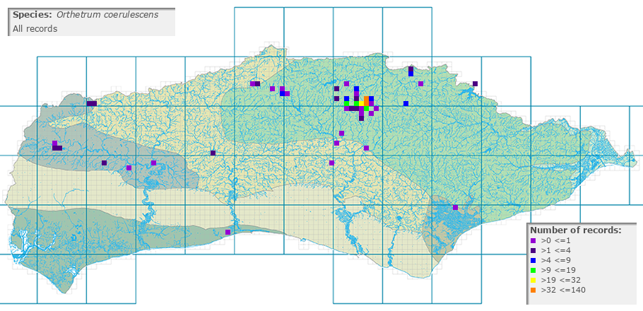 Orthetrum coerulescens distribution (all)