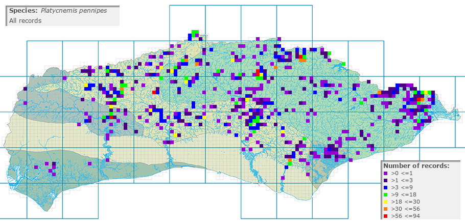 Platycnemis pennipes distribution (all)