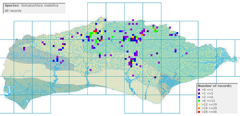 Somatochlora metallica distribution (all)