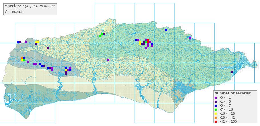 Sympetrum danae distribution (all)