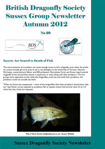 SDS_29_Autumn2012