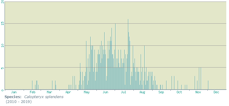 Calopteryx splendens phenology 2010 - 2019