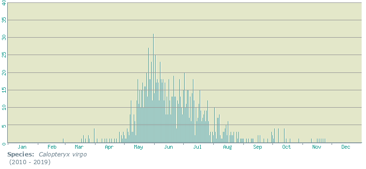 Calopteryx virgo phenology 2010 - 2019